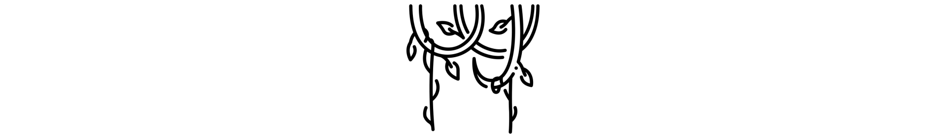 Ліани (Виткі рослини)