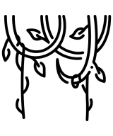 Ліани (Виткі рослини)