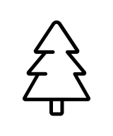 Ялівці